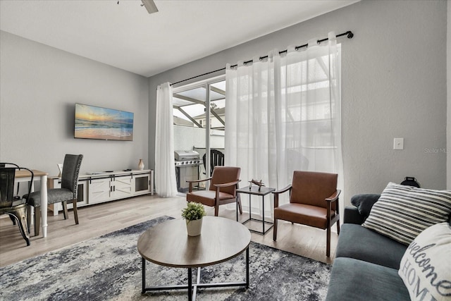 living room featuring ceiling fan and wood finished floors