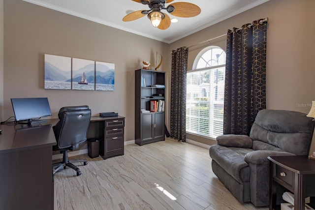 home office with light hardwood / wood-style flooring, ornamental molding, and ceiling fan