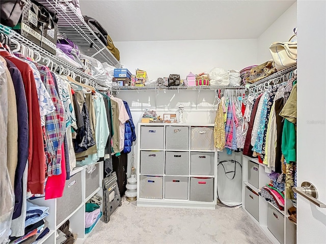 view of spacious closet