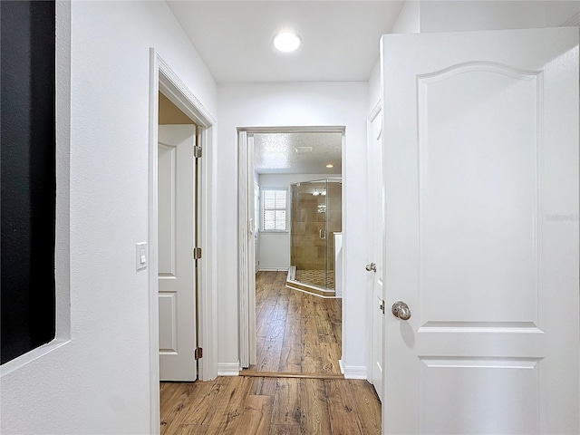 hallway with light wood-type flooring