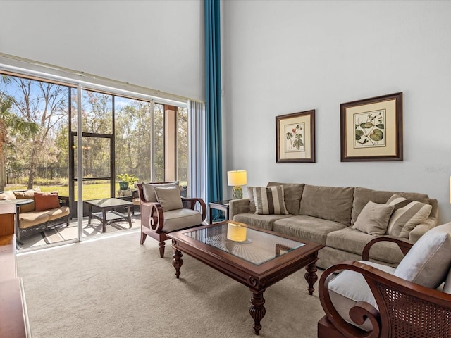1431 Milledge Ln, Davenport, FL 33896 - living room with carpet flooring, a wall of windows, and a towering ceiling