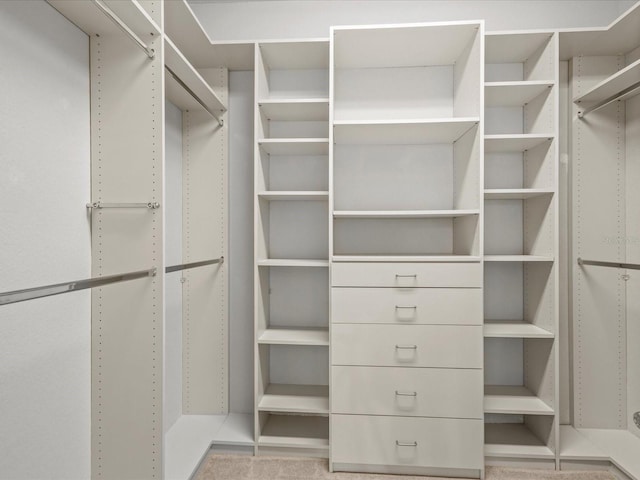 1431 Milledge Ln, Davenport, FL 33896 - view of walk in closet