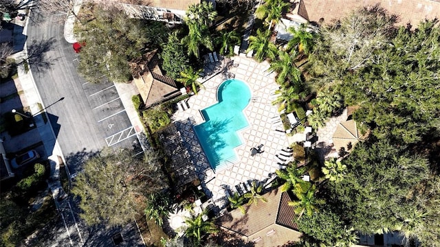 bird's eye view