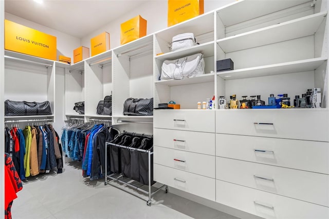 view of spacious closet