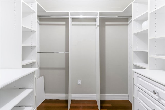 spacious closet featuring hardwood / wood-style flooring