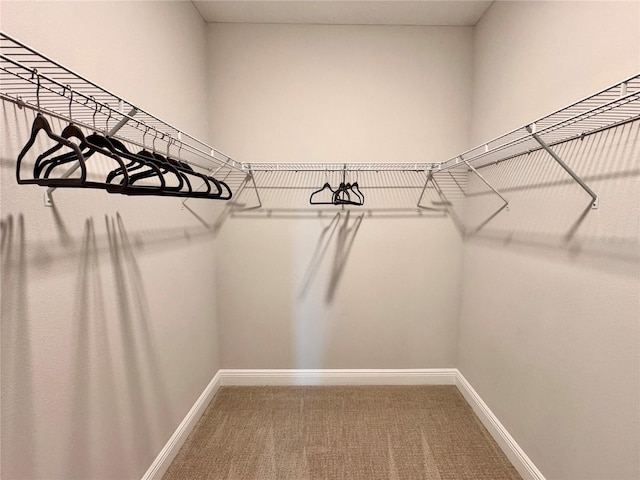 walk in closet with carpet