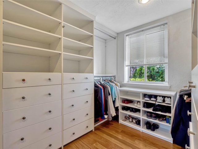 walk in closet featuring light wood finished floors