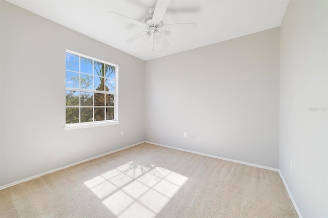 unfurnished room with ceiling fan and carpet