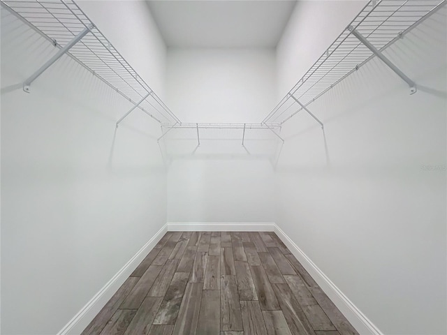 spacious closet with wood-type flooring