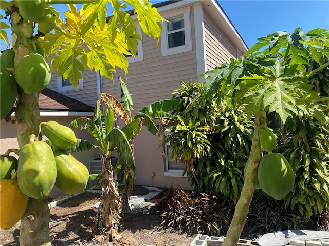 view of side of home