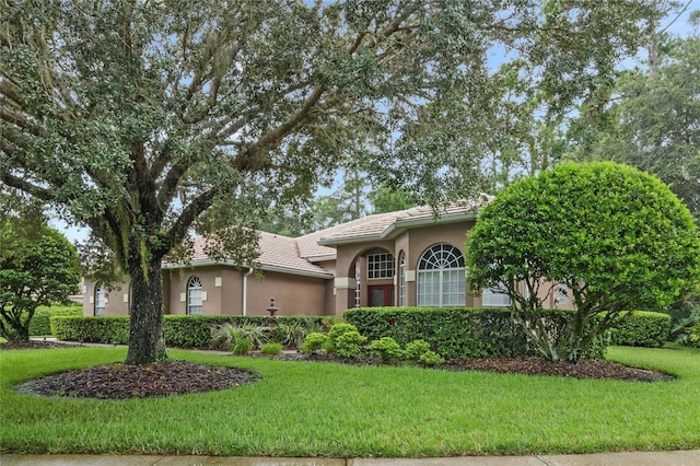 view of front facade with a front yard