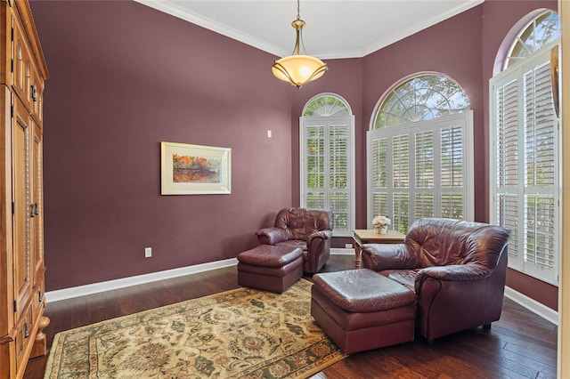 living area featuring ornamental molding and dark hardwood / wood-style floors