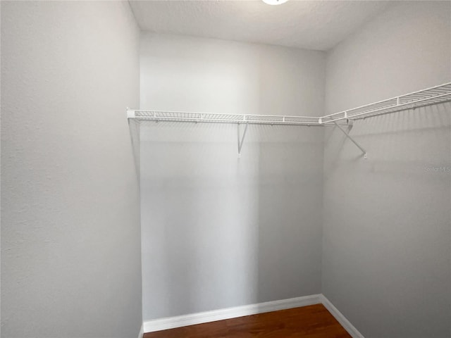 walk in closet featuring dark wood-type flooring