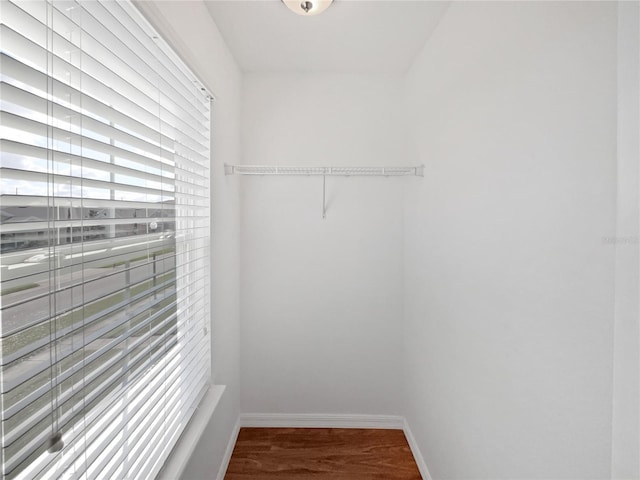 spacious closet with hardwood / wood-style flooring