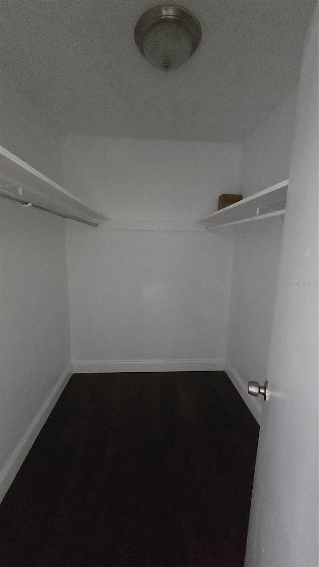 516 Orange Dr Unit 17, Altamonte Springs, FL 32701 - view of spacious closet