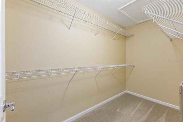 6912 Hochad Dr, Orlando, FL 32819 - spacious closet featuring carpet