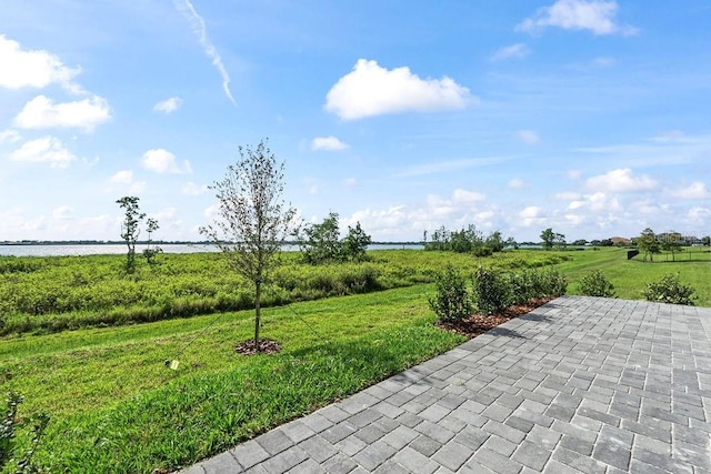 336 Caladium Ave, Lake Alfred, FL 33850 - photo 44