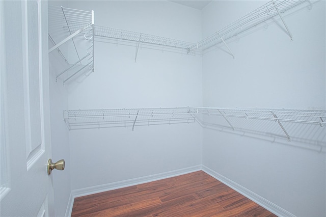 walk in closet featuring wood-type flooring