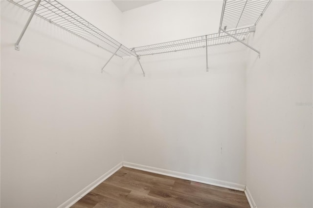353 E Orange St, Altamonte Springs, FL 32701 - walk in closet with dark wood-type flooring