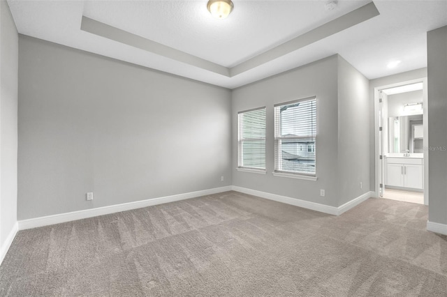 empty room featuring light colored carpet, a raised ceiling, and sink