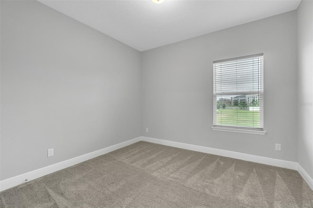 empty room featuring carpet floors and a textured ceiling