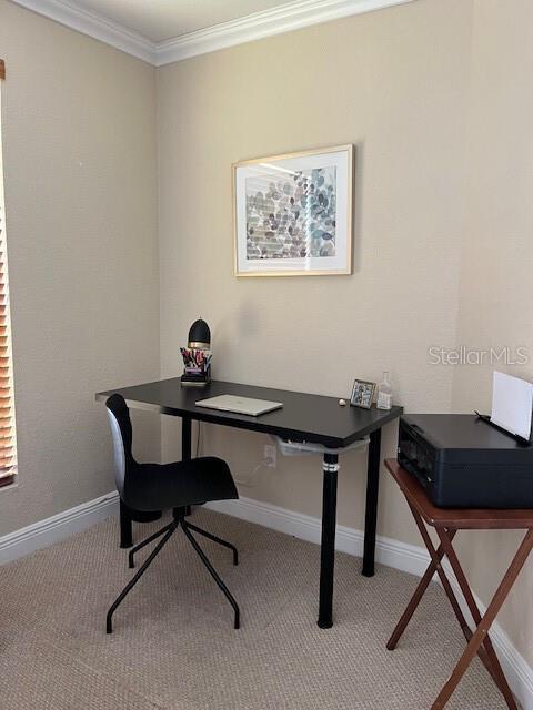 office featuring crown molding and carpet floors