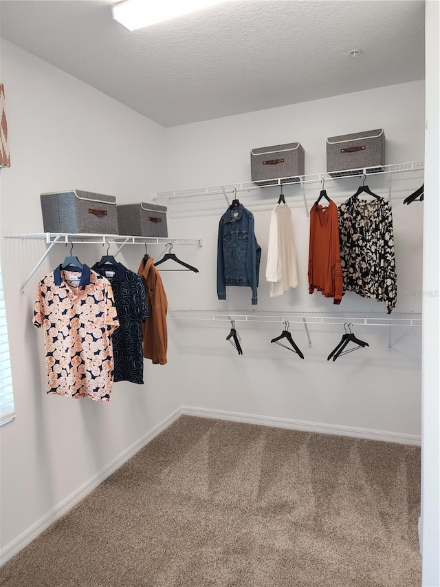 spacious closet with carpet