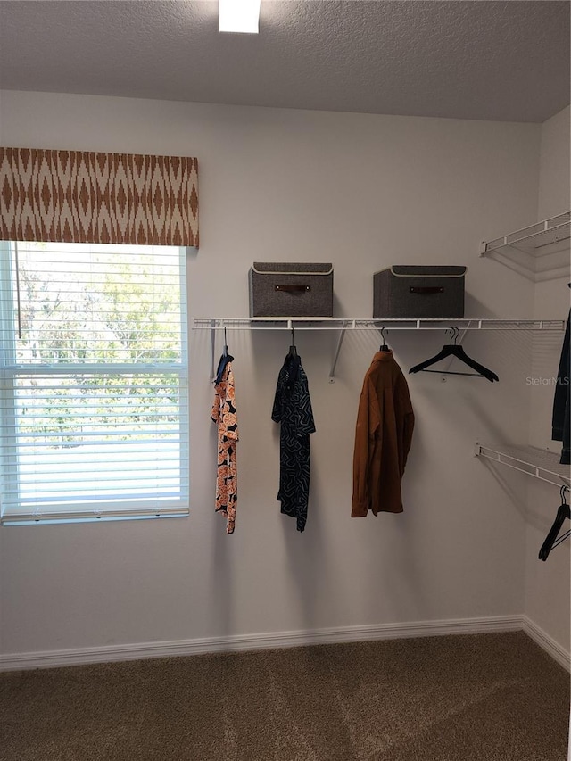 spacious closet with carpet flooring