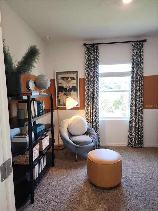 sitting room with carpet floors and baseboards