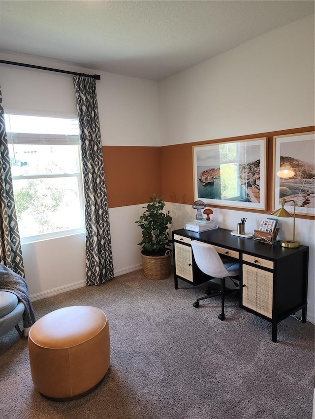 office area featuring carpet floors