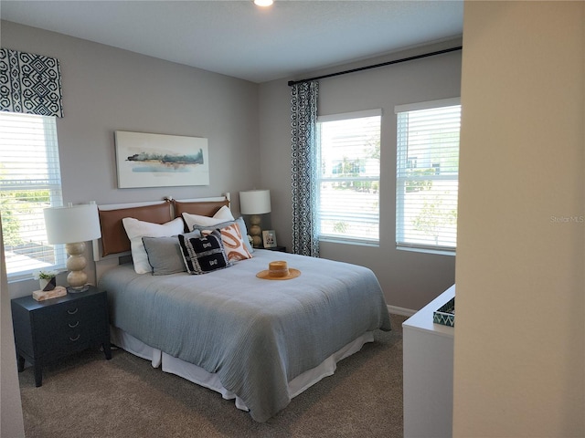 bedroom with carpet flooring