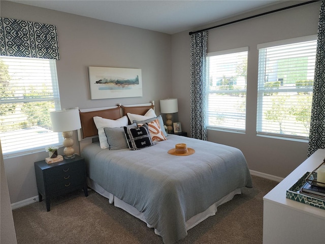 bedroom with carpet floors, multiple windows, and baseboards