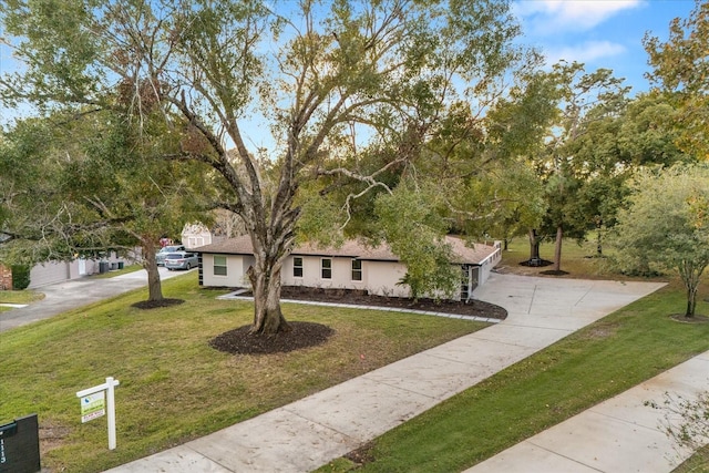 ranch-style home featuring a front yard and concrete driveway