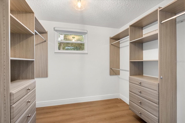 spacious closet with wood finished floors