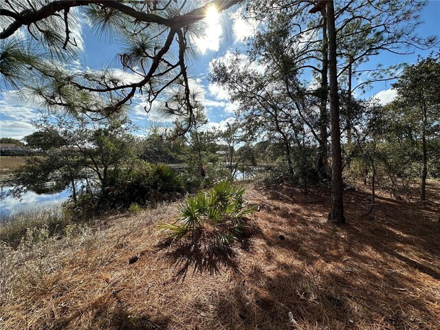 8362 Eric St, Spring Hill, FL 34608