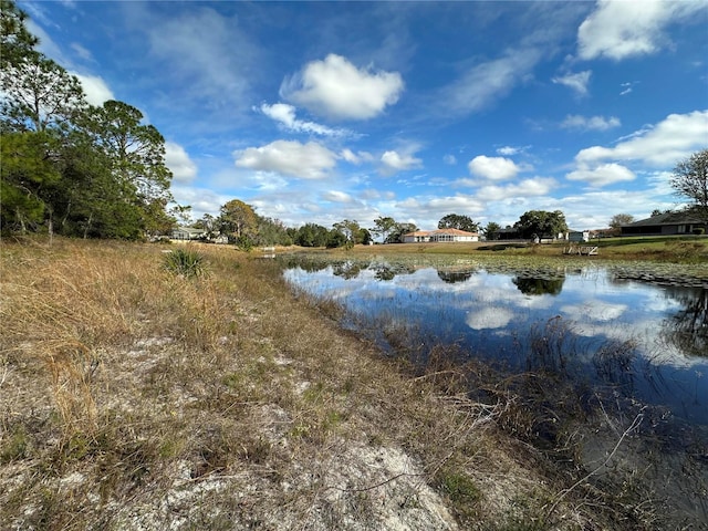 8362 Eric St, Spring Hill, FL 34608