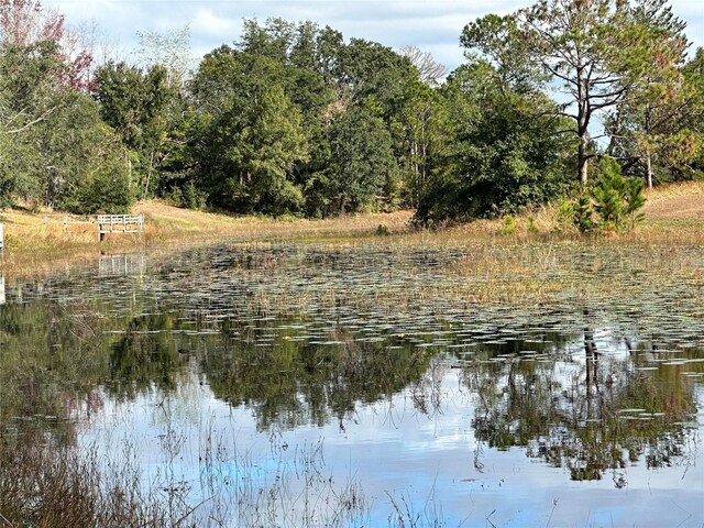8362 Eric St, Spring Hill, FL 34608
