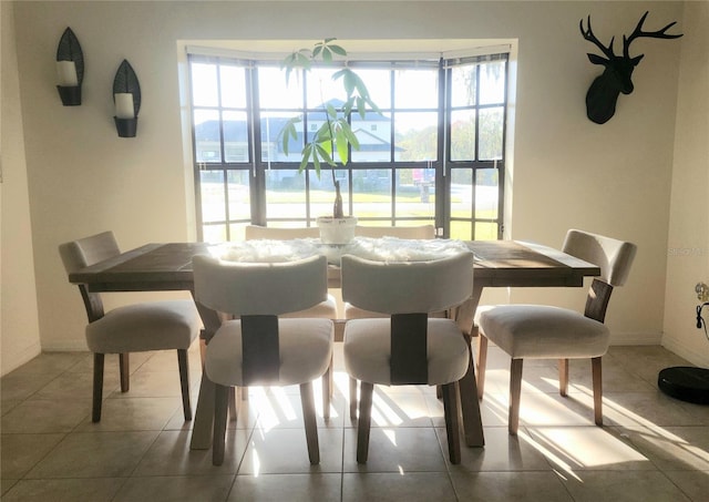 tiled dining space with plenty of natural light