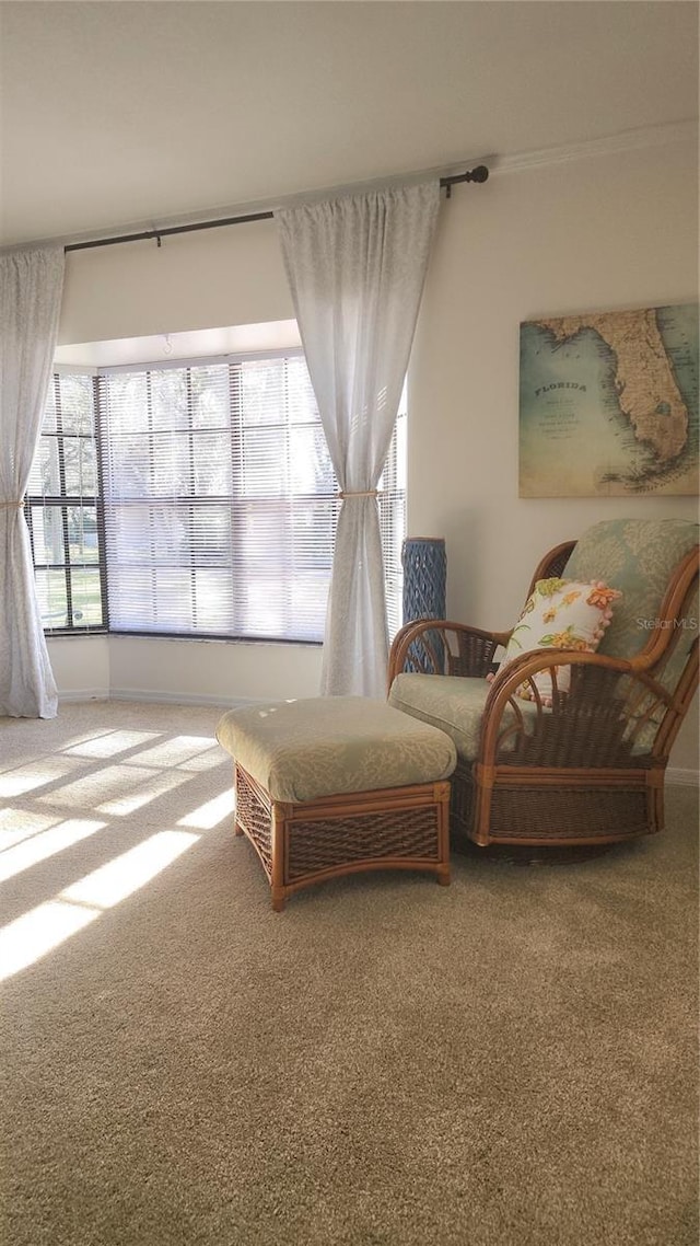 living area featuring carpet floors