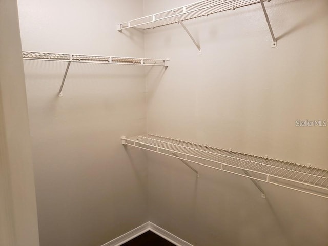 view of walk in closet