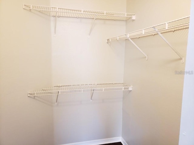 view of spacious closet