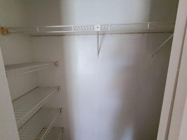 4034 Dream Oak Pl Unit 104, Tampa, FL 33613 - view of closet