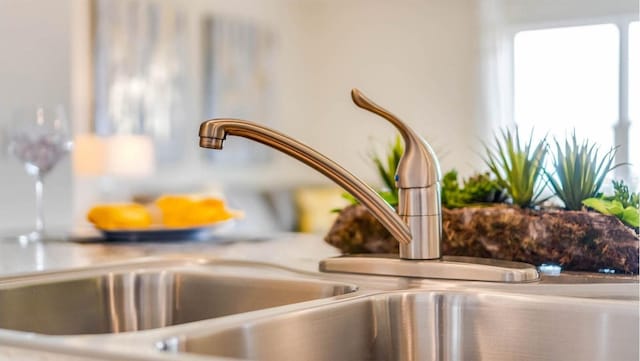 interior details featuring sink