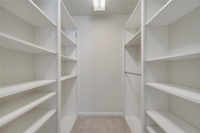 spacious closet with carpet