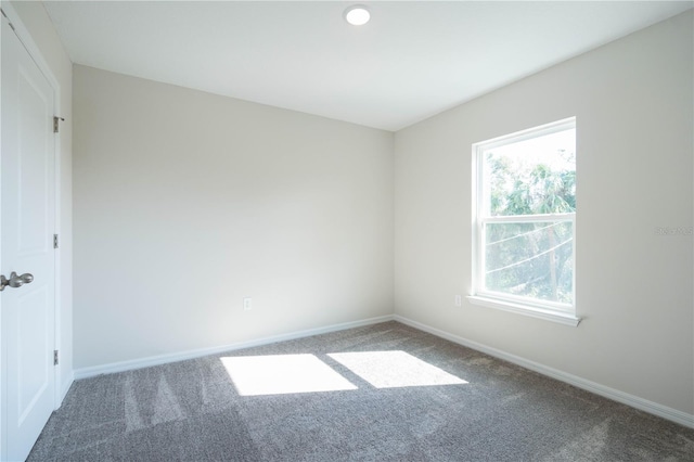 unfurnished room featuring carpet