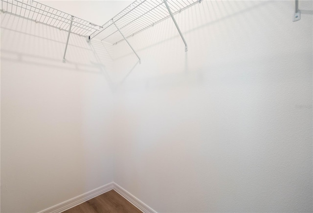 spacious closet featuring hardwood / wood-style floors