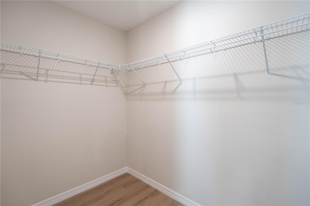 walk in closet with wood-type flooring