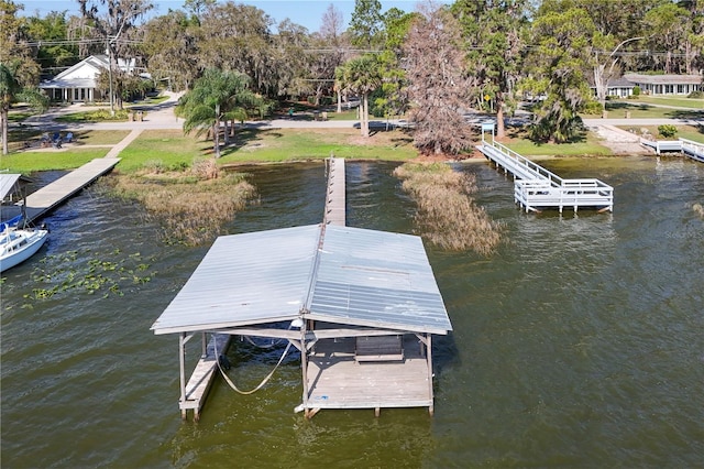 dock area with a water view