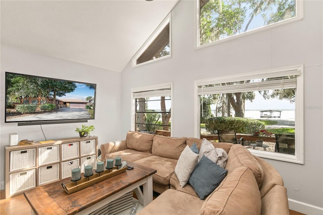 living room with hardwood / wood-style flooring and high vaulted ceiling