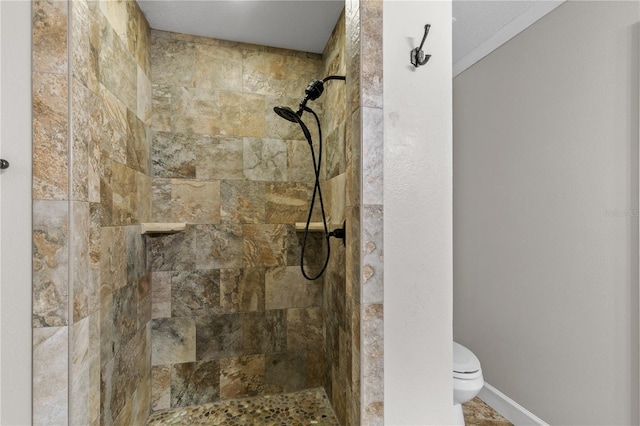 2929 Lakeshore Dr, Mount Dora, FL 32757 - full bath with a tile shower, toilet, and baseboards